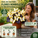Kit Sementes Flores Borboleta da Lua