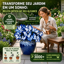 Kit Sementes Flores Borboleta da Lua